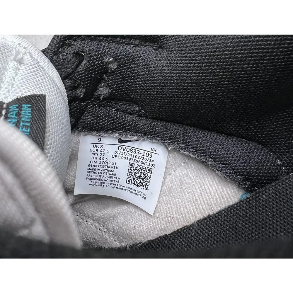 Nike Dunk Low Dusty Cactus Black Teal DV0833-109 Sz 10